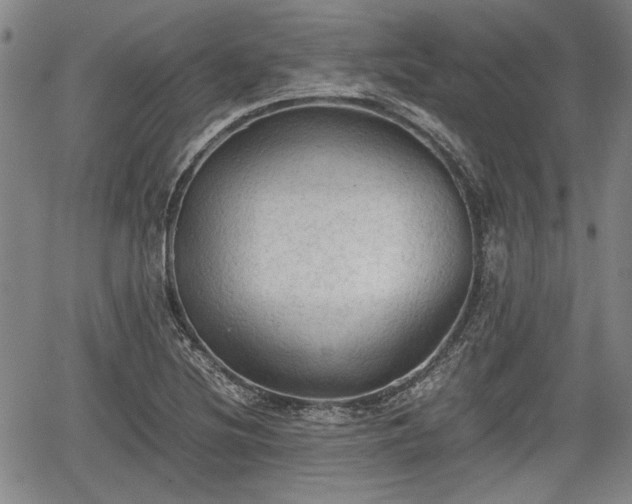 X0000067521220200604101318