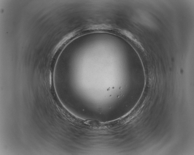 X0000067521221200604101318