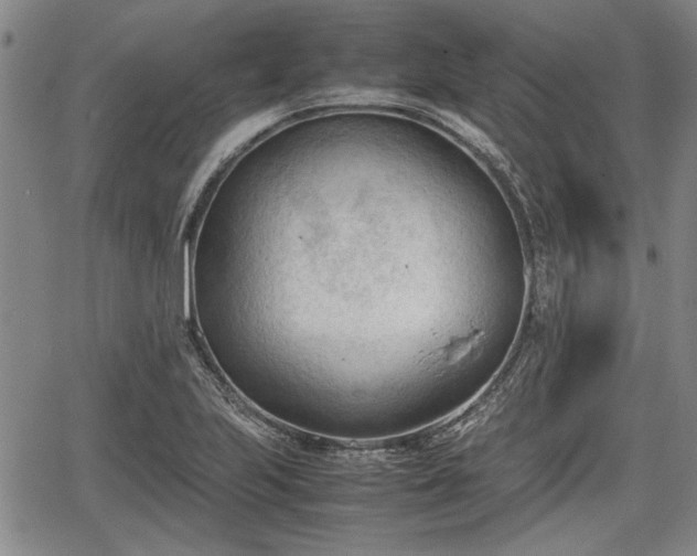 X0000067521223200604101318