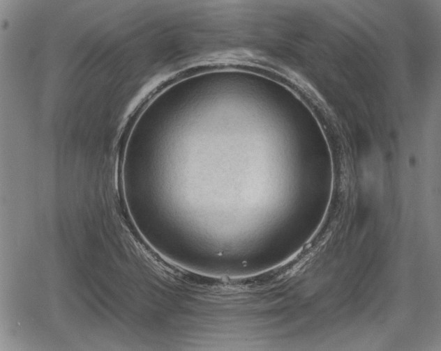 X0000067521224200604101318