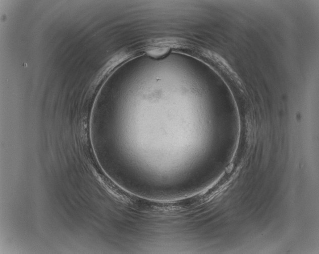 X0000067521225200604101318