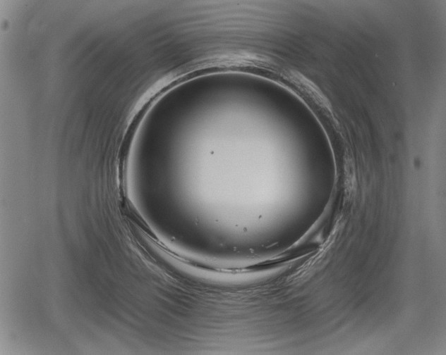 X0000067521226200604101318