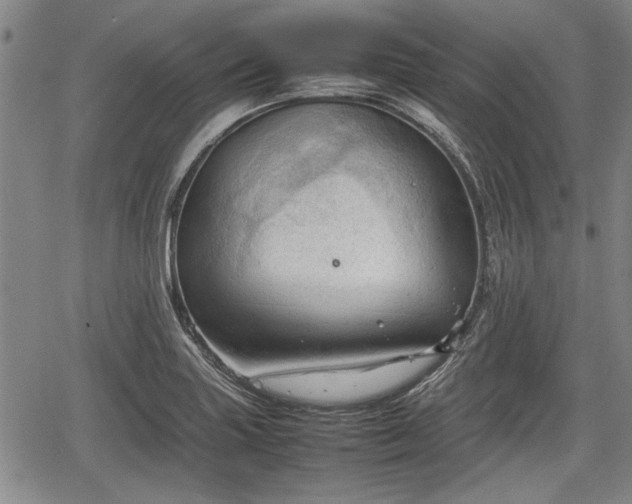 X0000067521227200604101318