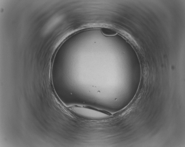 X0000067521228200604101318