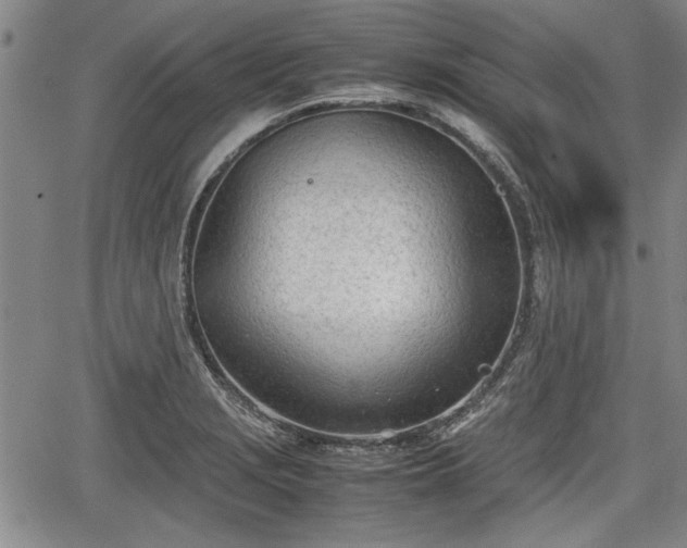 X0000067521229200604101318