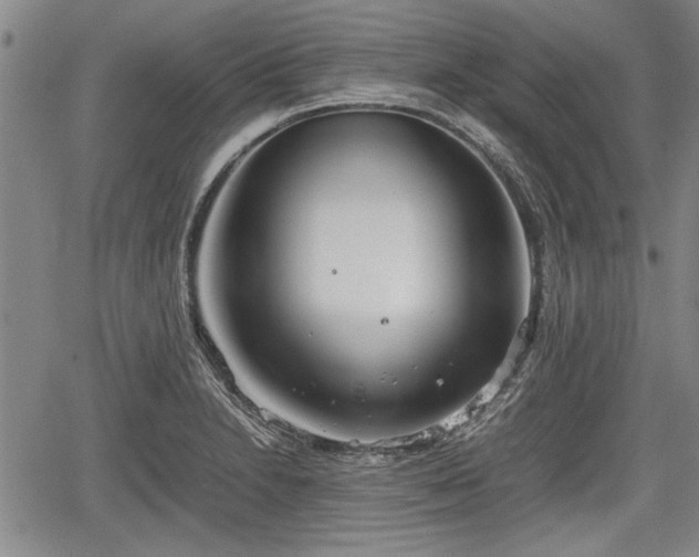 X0000067521230200604101318