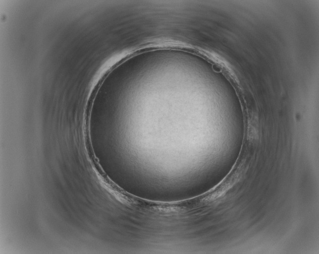 X0000067521231200604101318