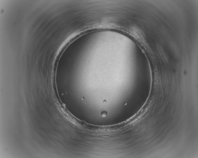 X0000067521232200604101318