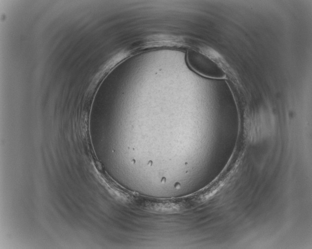 X0000067521233200604101318