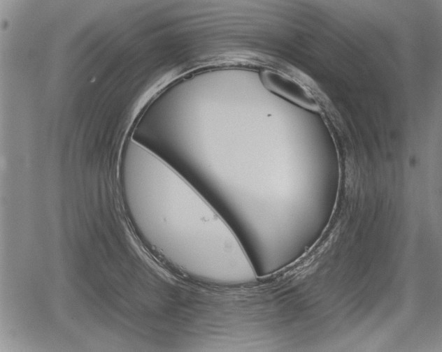 X0000067521234200604101318