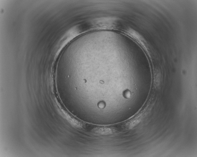 X0000067521235200604101318