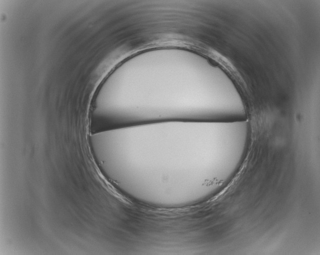 X0000067521236200604101318