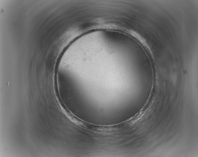 X0000067521237200604101318