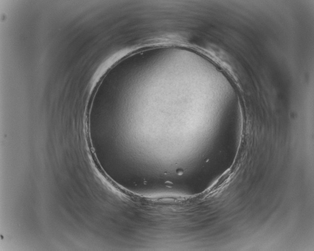 X0000067521239200604101318