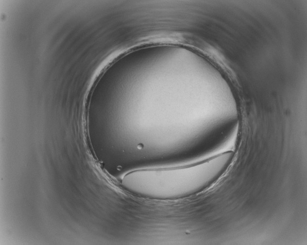 X0000067521240200604101318