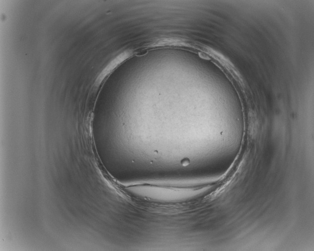 X0000067521241200604101318