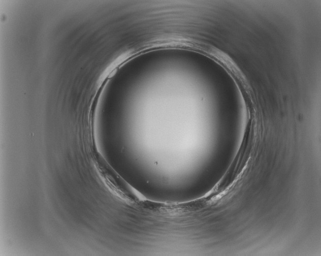 X0000067521242200604101318