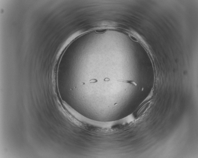 X0000067521243200604101318