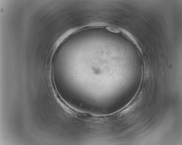 X0000067521245200604101318