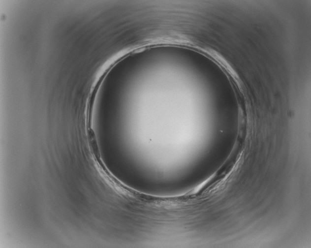 X0000067521246200604101318