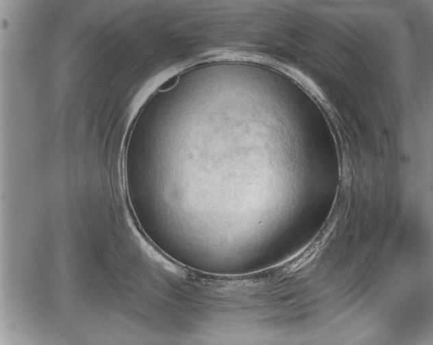 X0000067521247200604101318