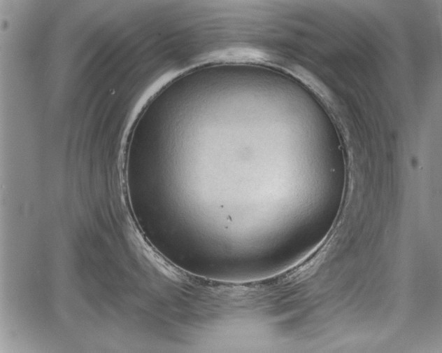 X0000067521248200604101318