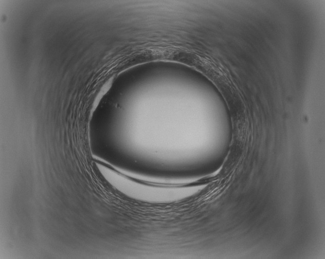 X0000067521249200604101318