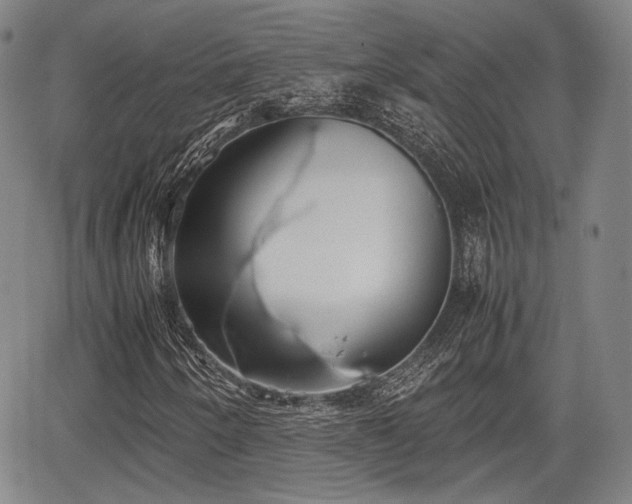 X0000067521250200604101318