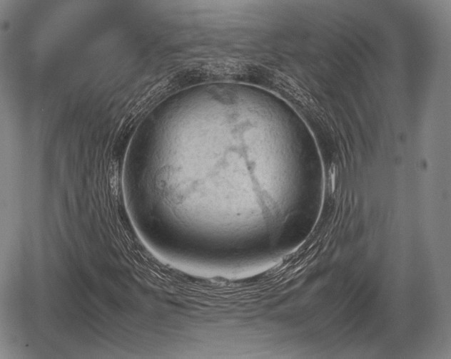 X0000067521251200604101318