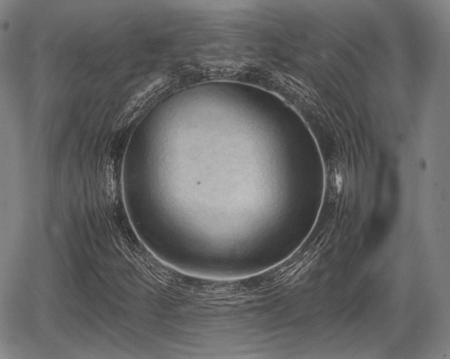 X0000067521252200604101318