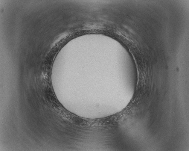 X0000067521254200604101318