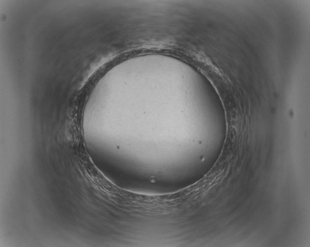 X0000067521256200604101317