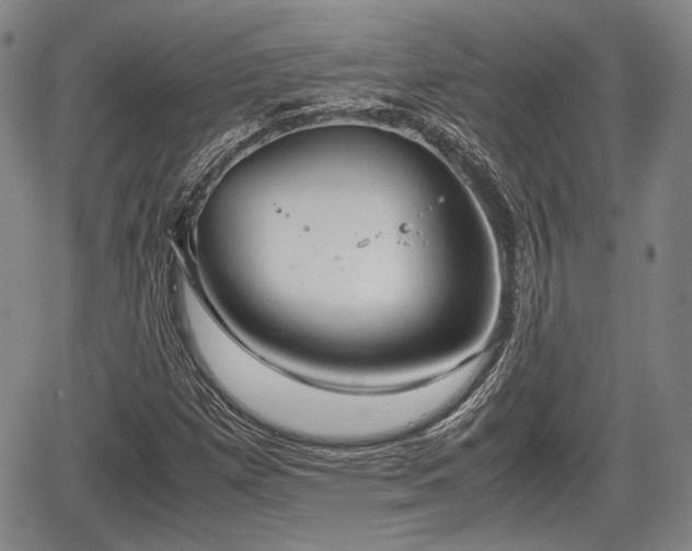 X0000067521257200604101317