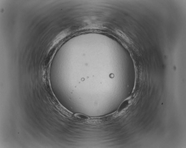 X0000067521258200604101317