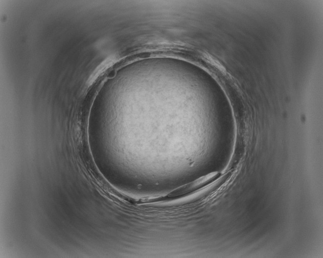 X0000067521259200604101317