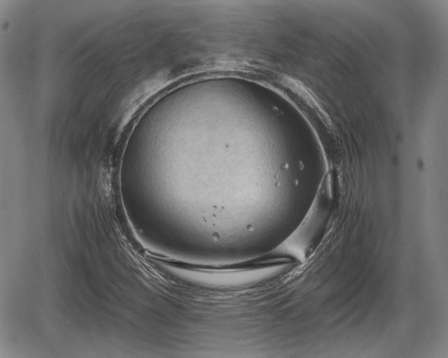 X0000067521260200604101317