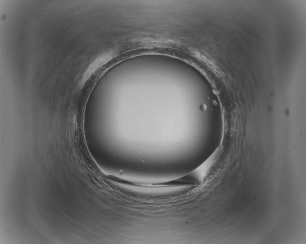 X0000067521261200604101317