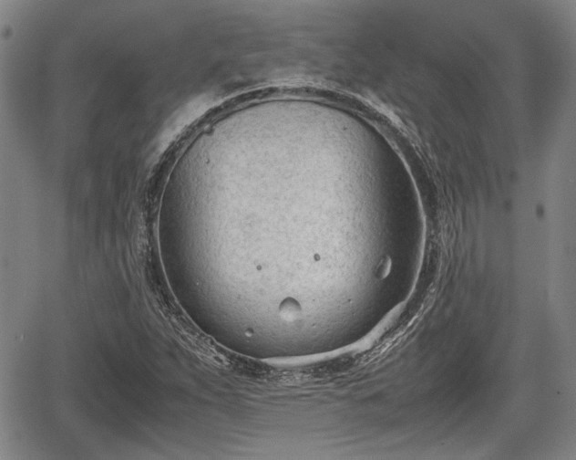 X0000067521263200604101317