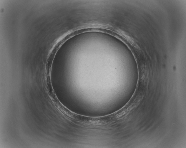 X0000067521264200604101317