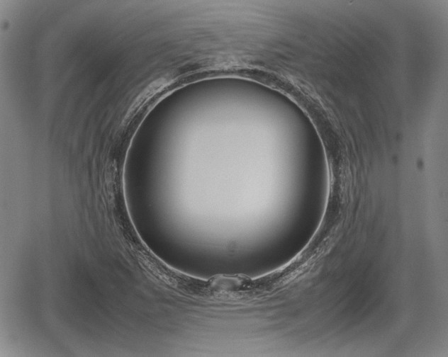 X0000067521265200604101317