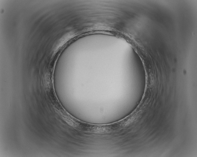 X0000067521266200604101317