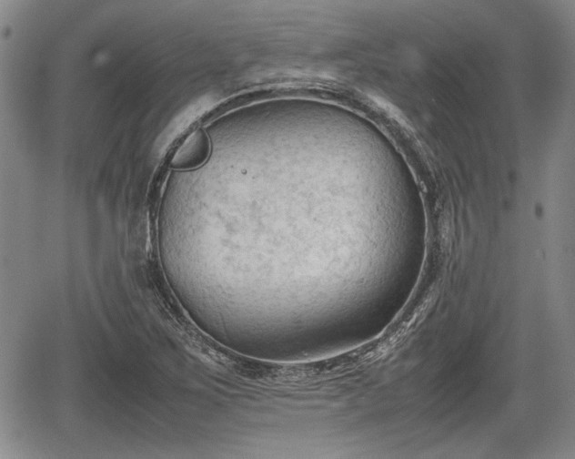 X0000067521267200604101317