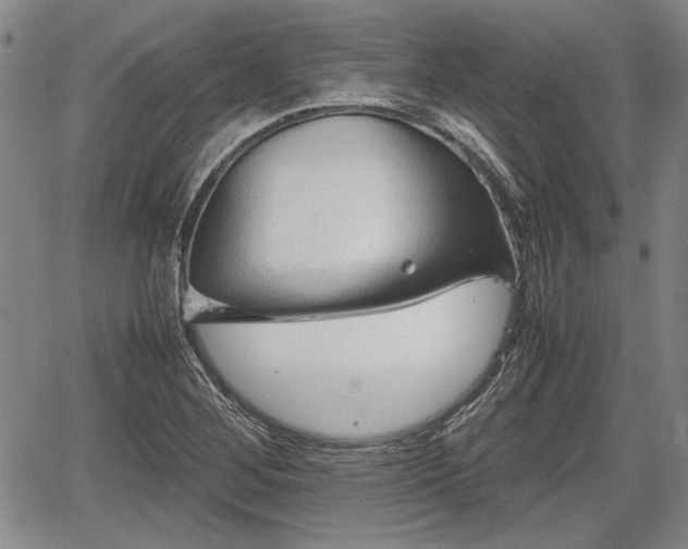 X0000067521268200604101317