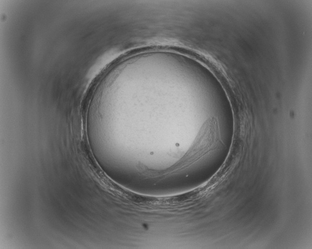 X0000067521271200604101317