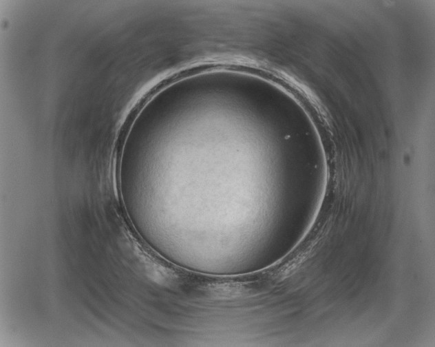 X0000067521272200604101317