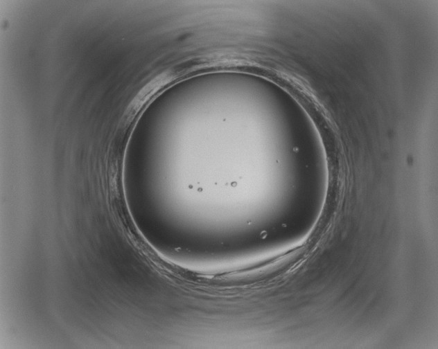 X0000067521273200604101317