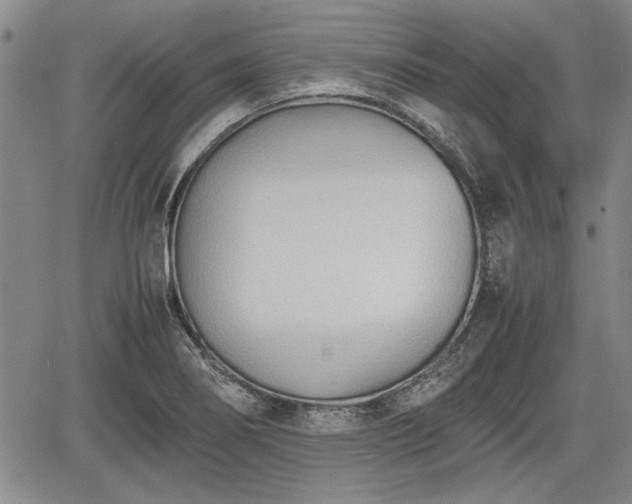 X0000067521274200604101317