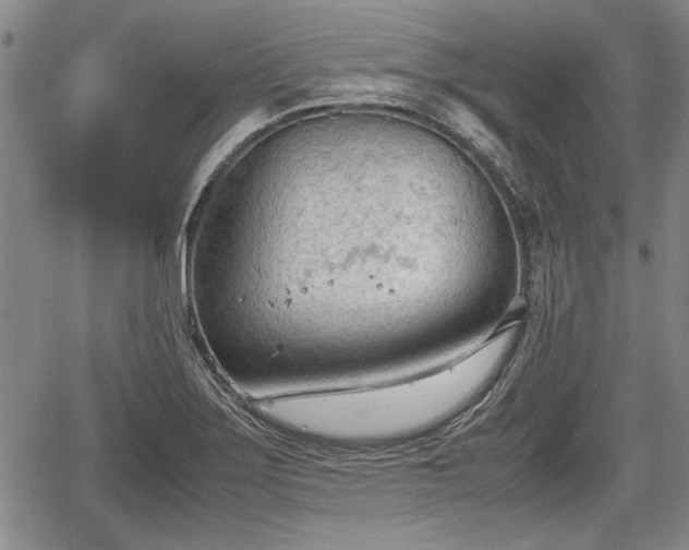 X0000067521275200604101317