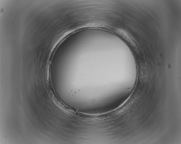 X0000067521276200604101317