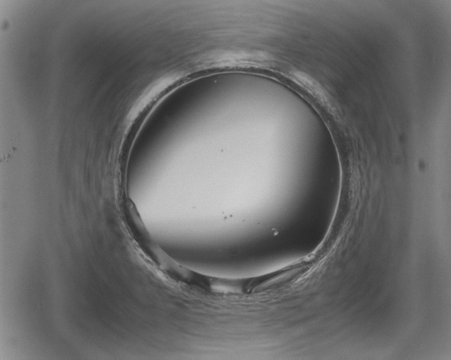 X0000067521277200604101317